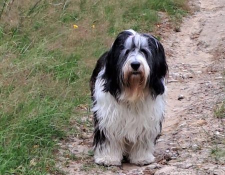 491287531_29116345531344746_8974439996703285670_n