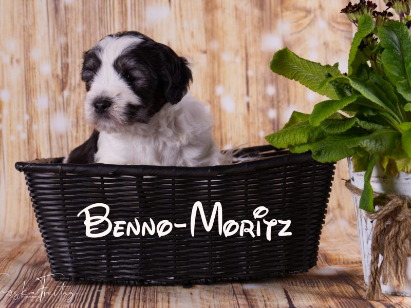 Benno-Moritz_DSC0043