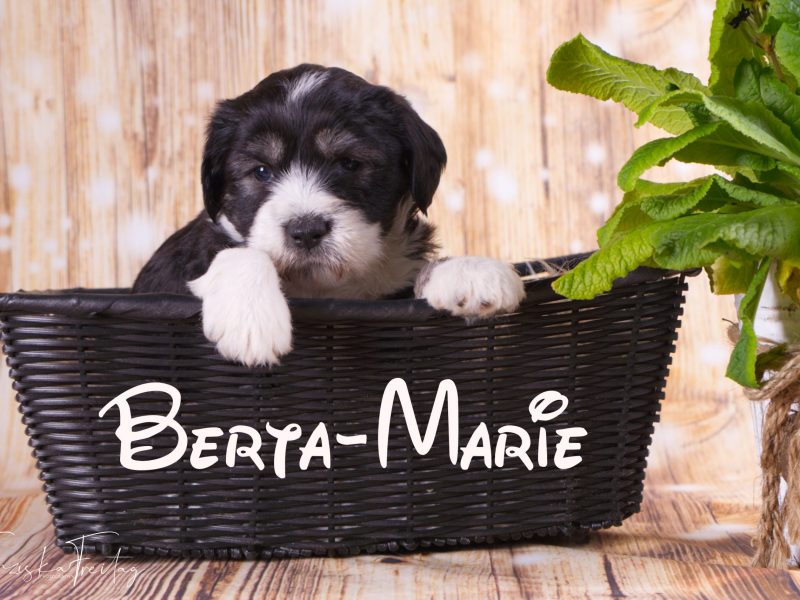 Berta-Marie_DSC0217