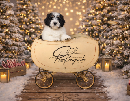 ChatGPT Image 22. Dez. 2025, 13_38_01