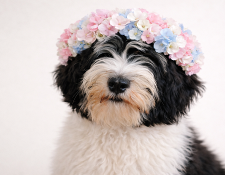 ChatGPT Image Mar 25, 2026, 09_11_24 AM