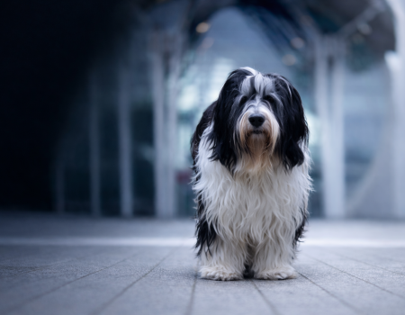 ChatGPT Image Mar 25, 2026, 09_40_21 AM