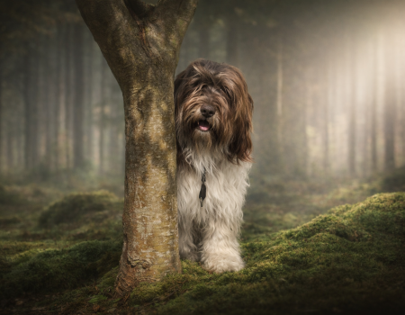 ChatGPT Image Mar 25, 2026, 09_47_53 AM